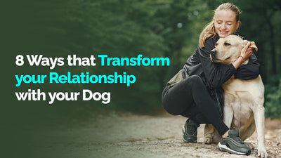 8 Ways That Transform Your Relationship With Your Dog