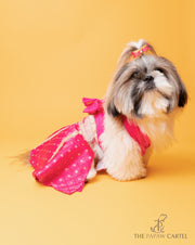 Crossbody Choli With Hot Pink Embroidered Lehenga For Dogs
