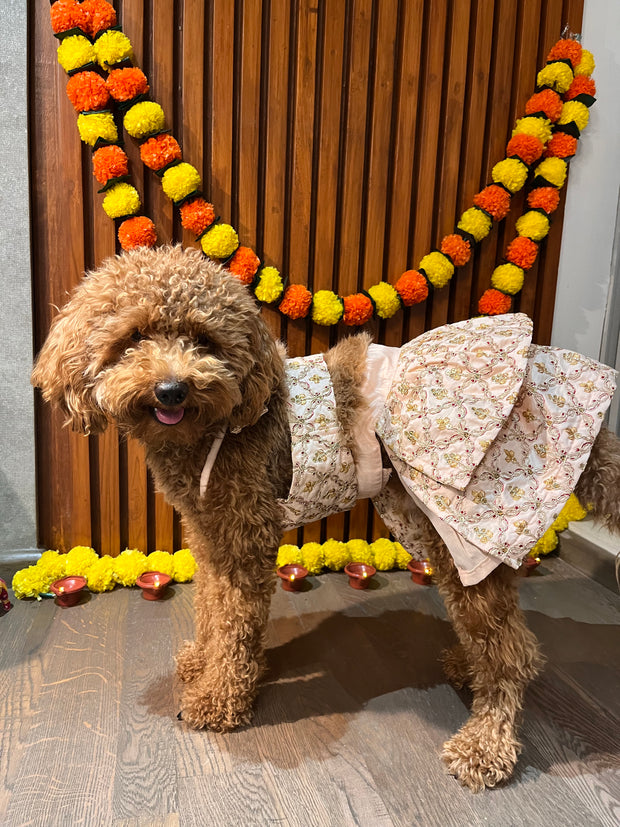 Peach embroidered gagra choli For Dogs