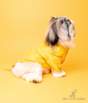 Silk Yellow Gotapati Kurta For Dogs