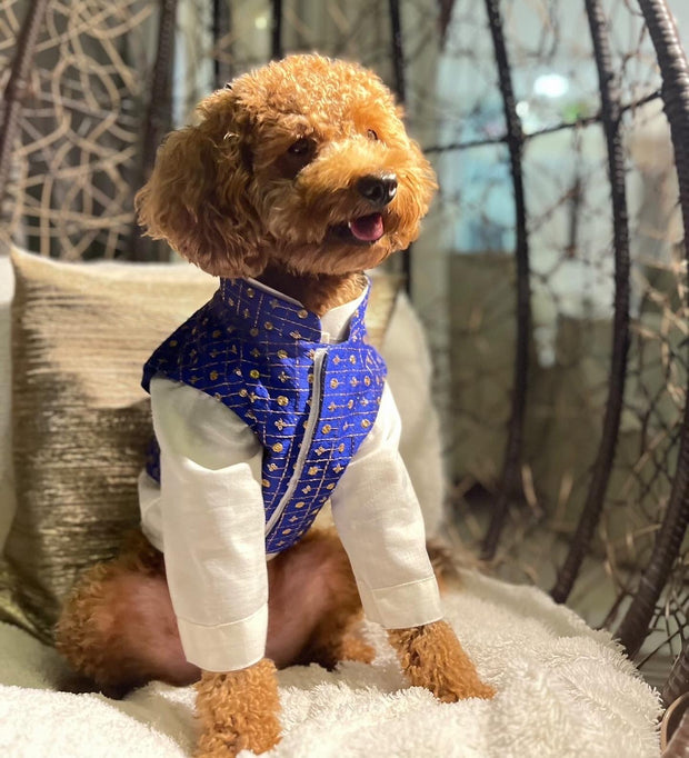 Blue work koti with kurta for dogs