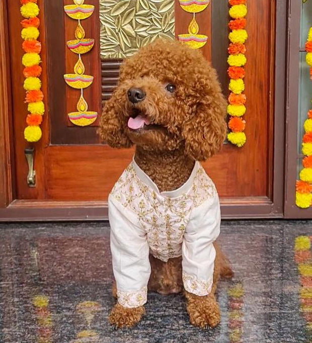 Peach embroidered sherwani For Dogs