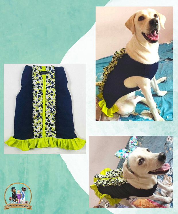 Blue with White Floral  Embellished Frock for Dogs
