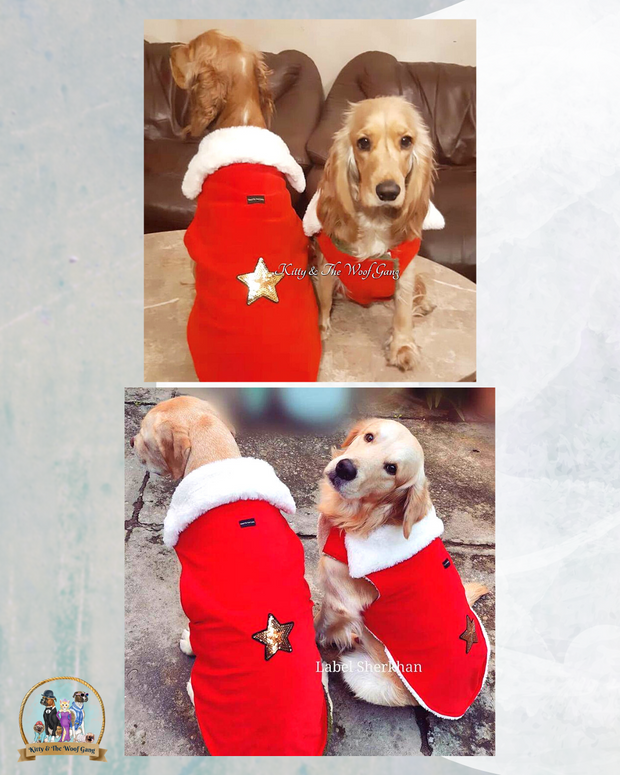 Red & White Regular Jacket For Dogs