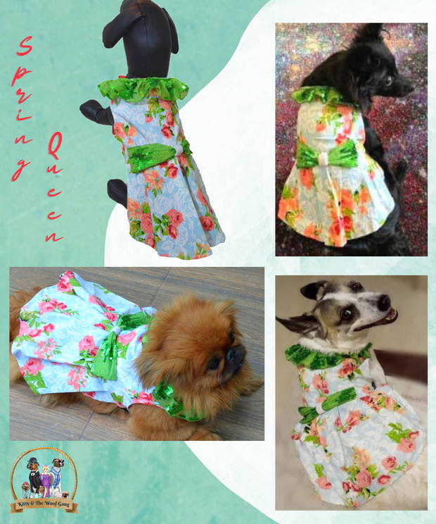 Blue With Pink Floral PartyWear Frock for Dogs