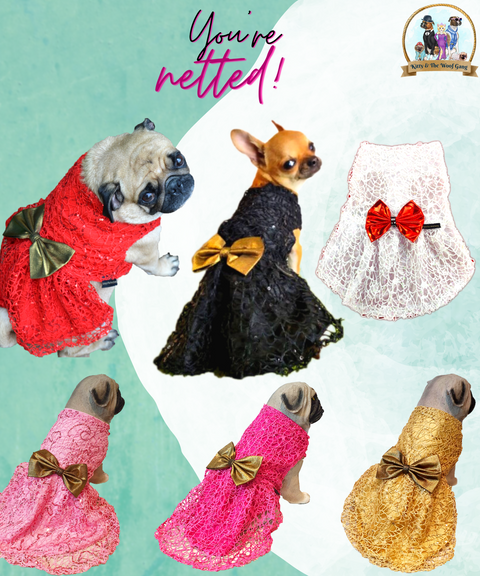 Multicolor Netted PartyWear Frock for Dogs