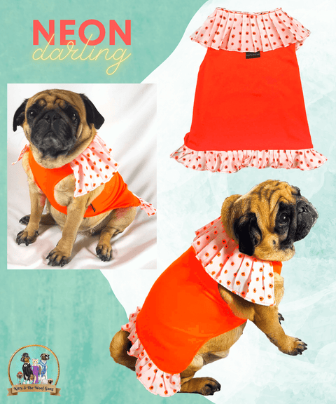 Orange And White PartyWear Frock for Dogs