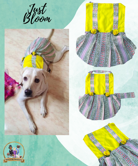 Yellow with Design Pattern Embellished Frock for Dogs