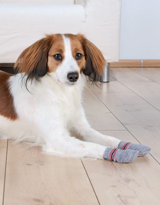 Trixie Non-Slip Dog Socks- Grey (1 Pair)