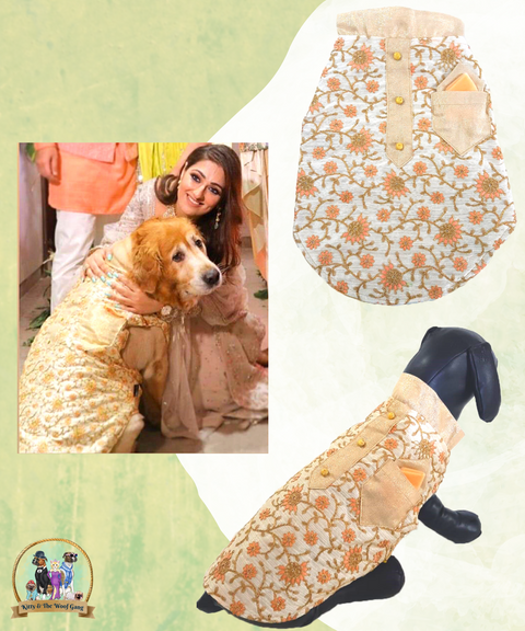 Beige Designer Festive Dress/Frock For Dogs