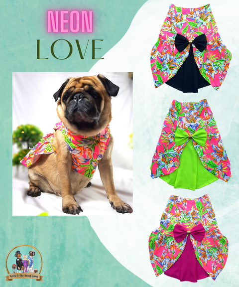 Neon Embellished Frock for Dogs