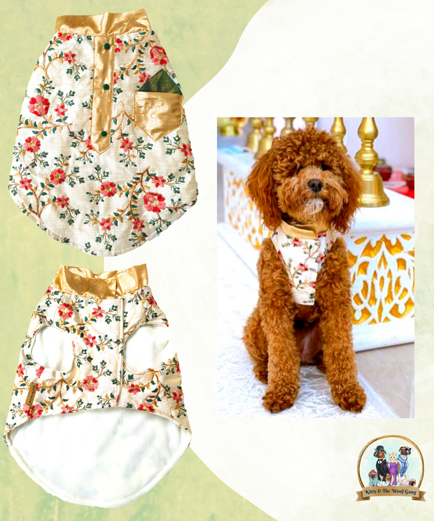 Beige Designer Floral Festive Dress/Frock For Dogs
