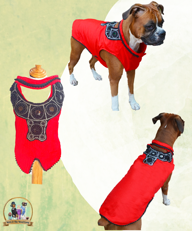 Red with Beeds Work Festive Dress/Frock For Dogs