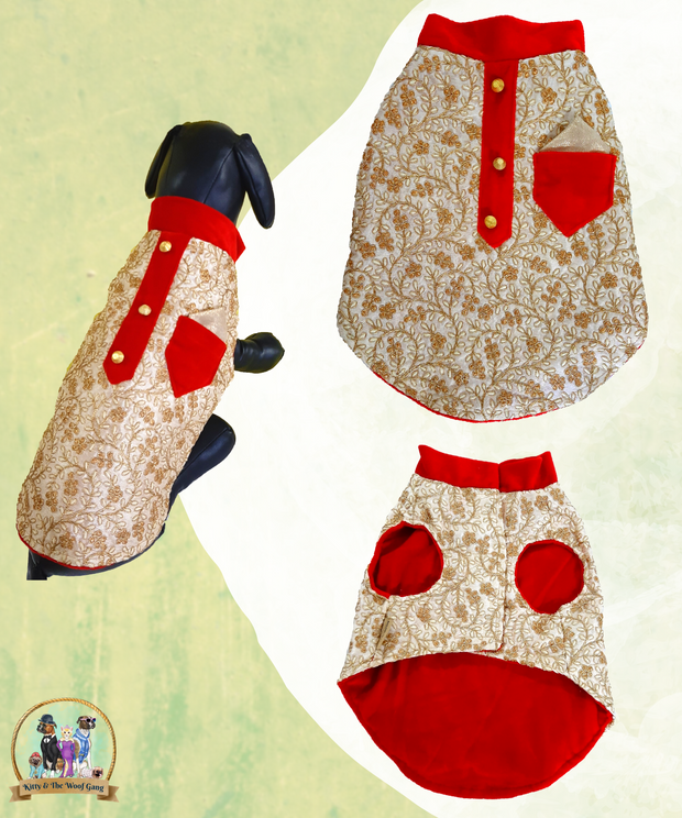 Designer Beige Floral Festive Dress/Frock For Dogs