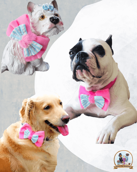 Pink And Blue Bow For Dogs