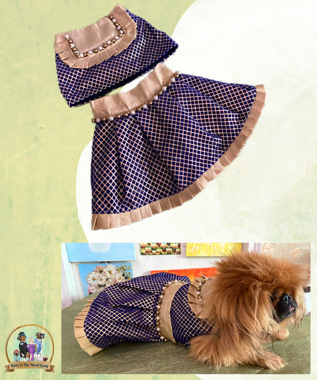 Blue Chequed Designer Festive Skirt Blouse For Dogs