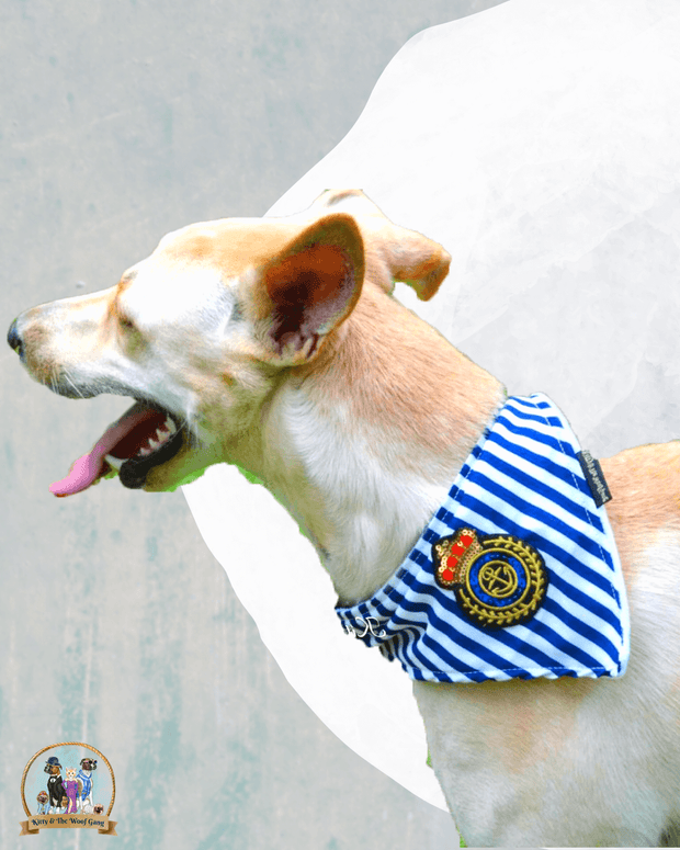 Blue Striped Printed Dog Bandana With Easy To Use Adjustable Strap
