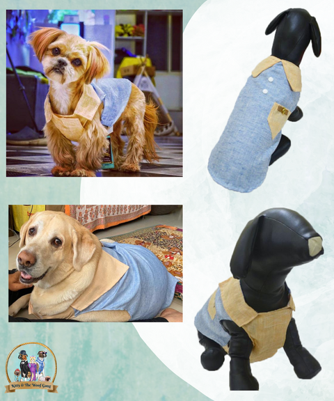 Cream and Blue Shirt For Dogs