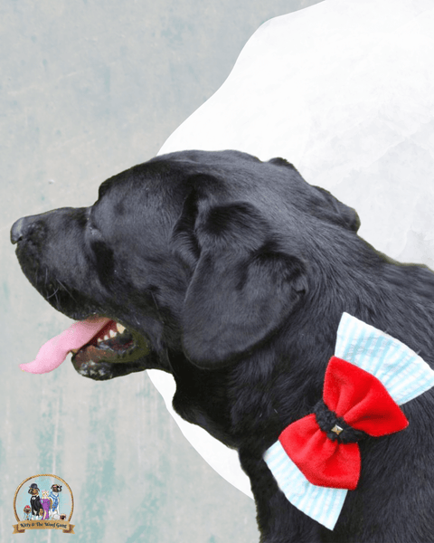 Blue And Red Bow For Dogs
