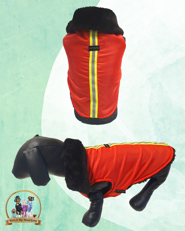 Red Regular Jacket For Dogs
