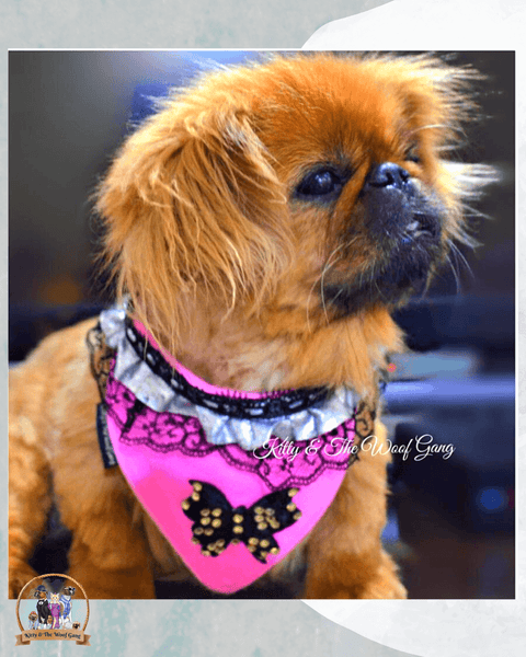 Pink Laced Dog Bandana With Easy To Use Adjustable Strap