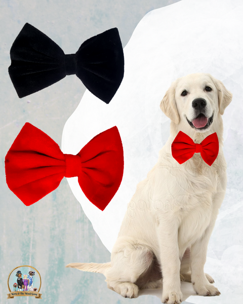 Red Black Bow For Dogs