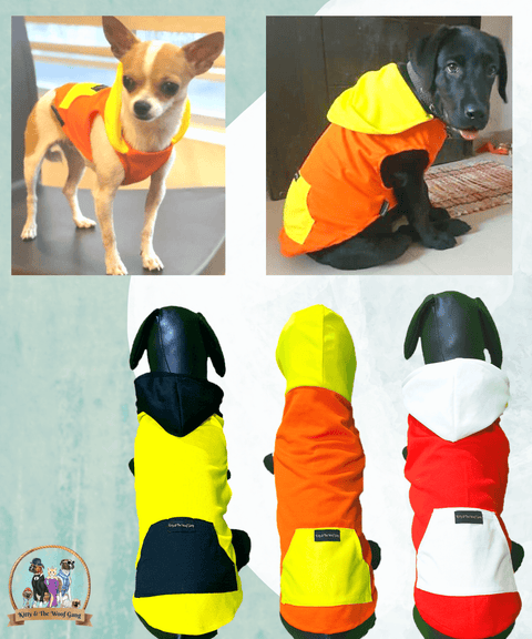 Multicolored Hoddie T-Shirts For Dogs