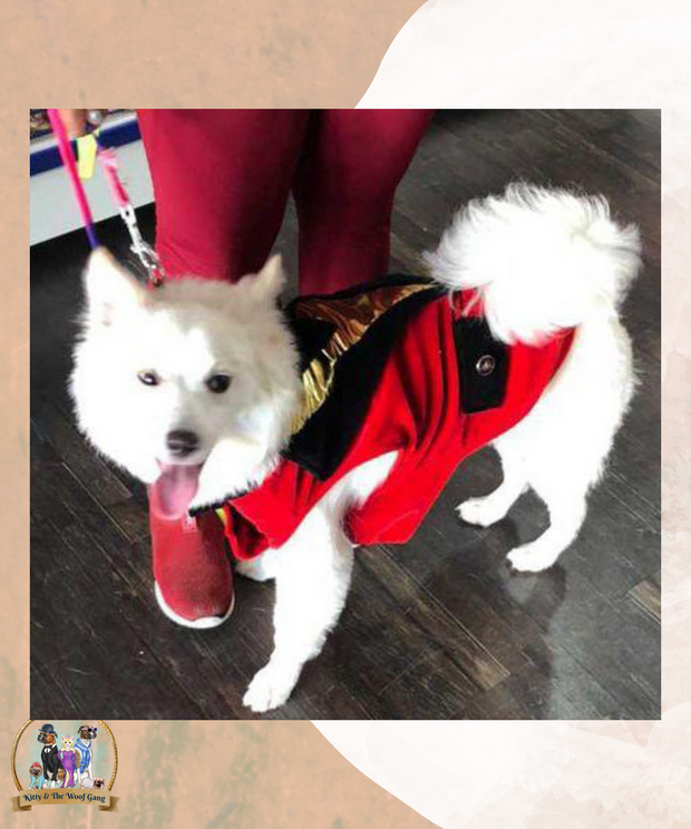 Red Customized Tuxedo for Dogs