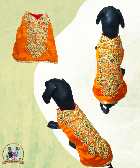 Designer Multicolor Stone Work Orange Festive Dress/ Frock For Dogs