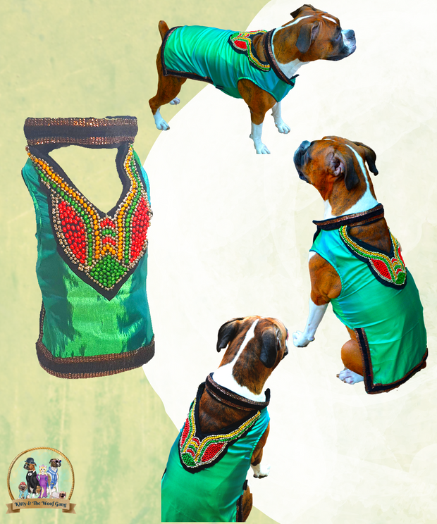 Beads Designer Green Festive Dress/ Frock For Dogs