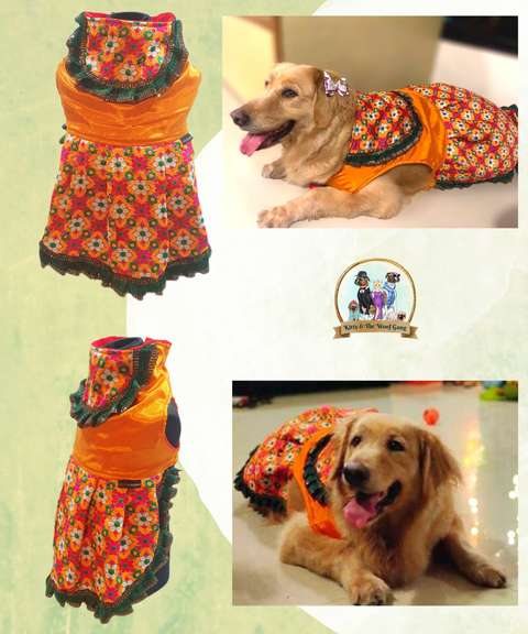 Multicolor Designer Work Orange Festive Dress/ Frock For Dogs