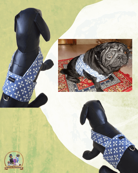 BLUE BODY HARNESS FOR DOGS