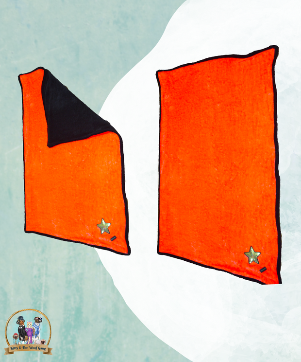 Orange  Blanket For Dogs & Cats