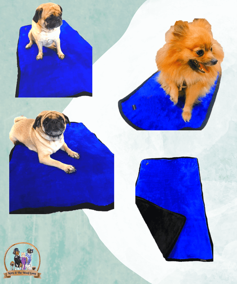 Blue Blanket For Dogs & Cats