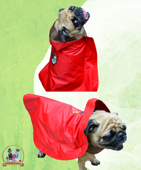 Red Raincoat For Dogs