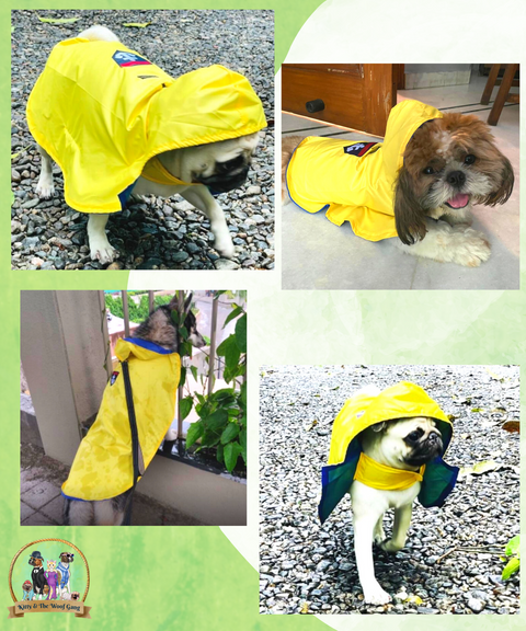 Yellow Raincoat For Dogs
