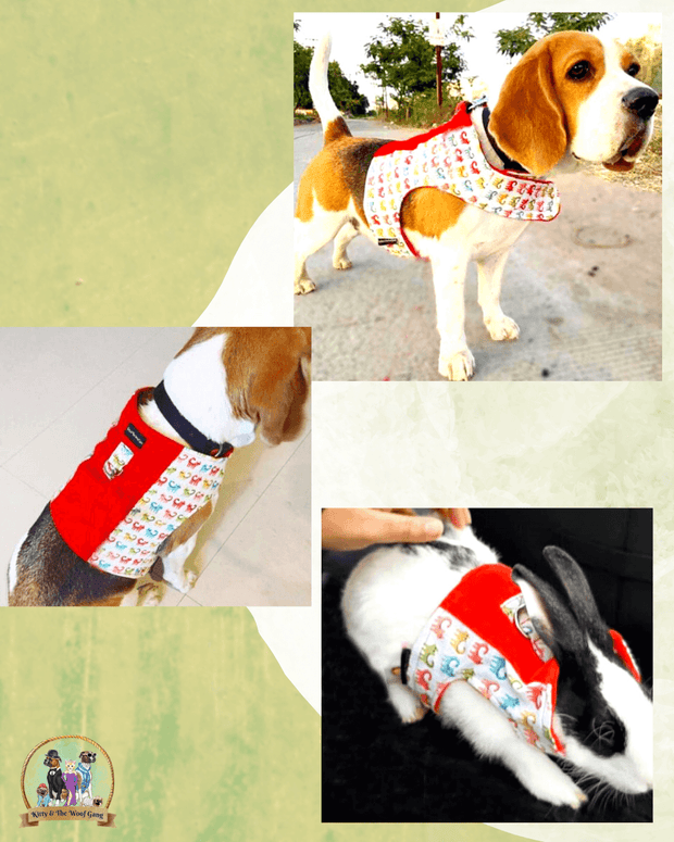MULTICOLOR KITTY PRINTED BODY HARNESS FOR DOGS