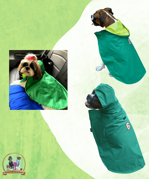 Green Raincoat For Dogs
