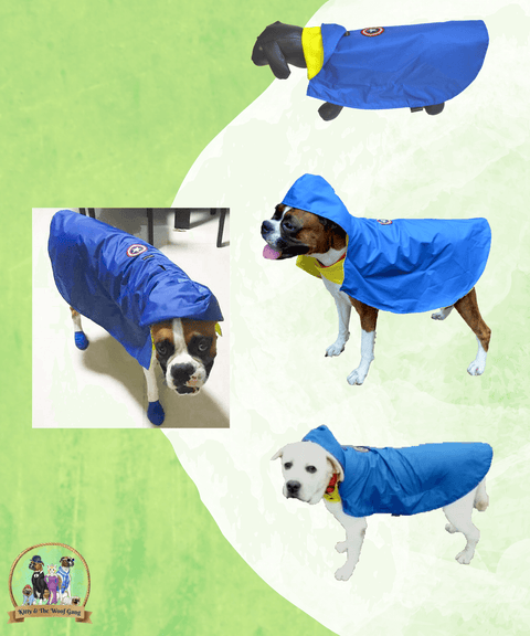 Blue Raincoat For Dogs