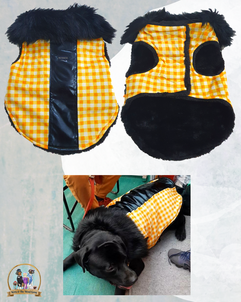 Yellow Chequed Regular Jacket For Dogs