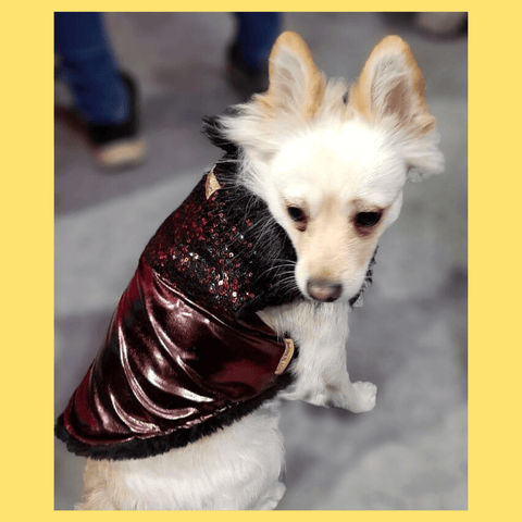 Brown Designer work Premium Jacket For Dogs