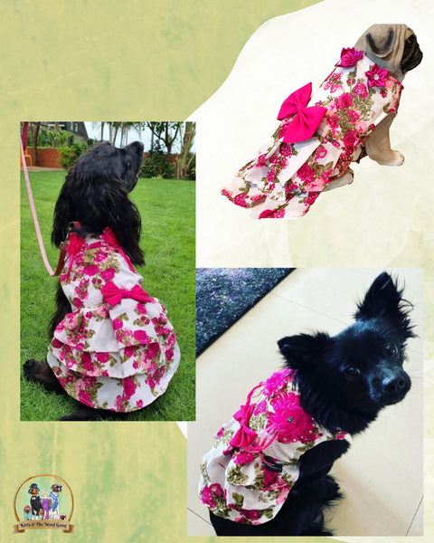 White with Pink Floral Print Embellished Frock for Dogs