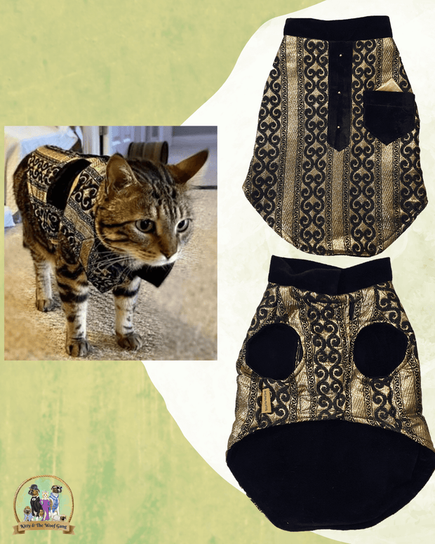 Black & Gold Designer Festive Dress/ Frock For Cats