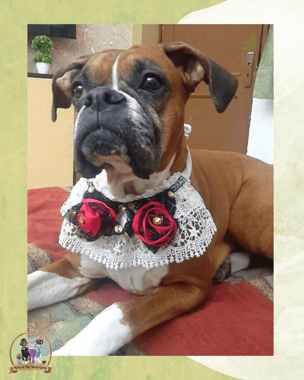 Laced Rose Petaled Neck Accessorie For Dogs