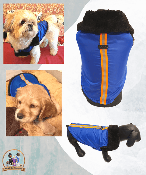 Blue Regular Jacket For Dogs