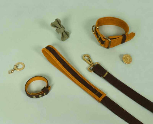 A Complete Set For Pets Dog Accessories