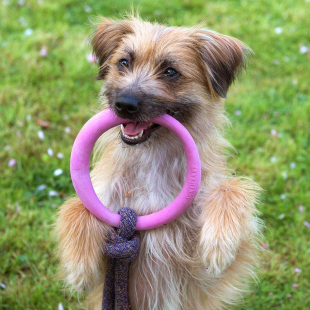Beco Pets Natural Rubber Hoop On Rope Toy For Dogs – Pink