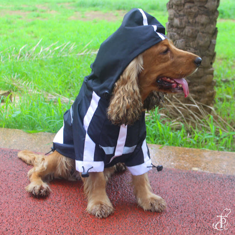 Black Panther Raincoat For Dogs
