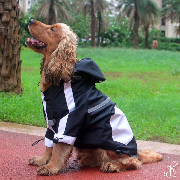 Black Panther Raincoat For Dogs