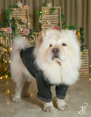Black Pathani With Pearl Embellishment For Dogs